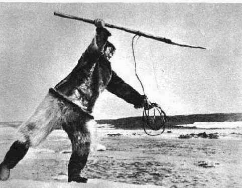 Сделано В Голливуде